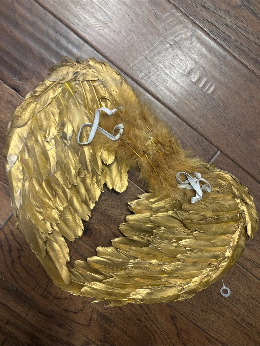 Gold Feather Angel Wings Movie Quality